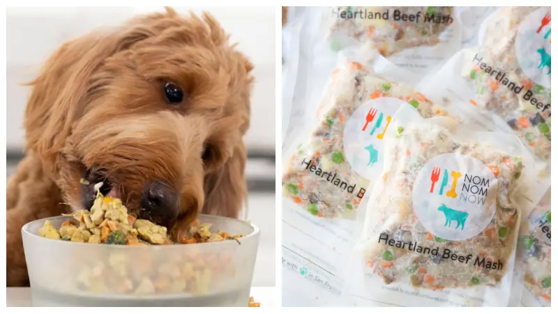 Read more about the article nomnomnow Delightful Food for Dog